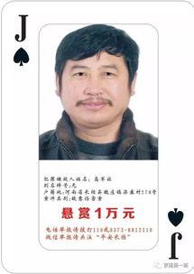 通缉令在线观看免费,揭秘神秘逃犯的惊险追捕之旅